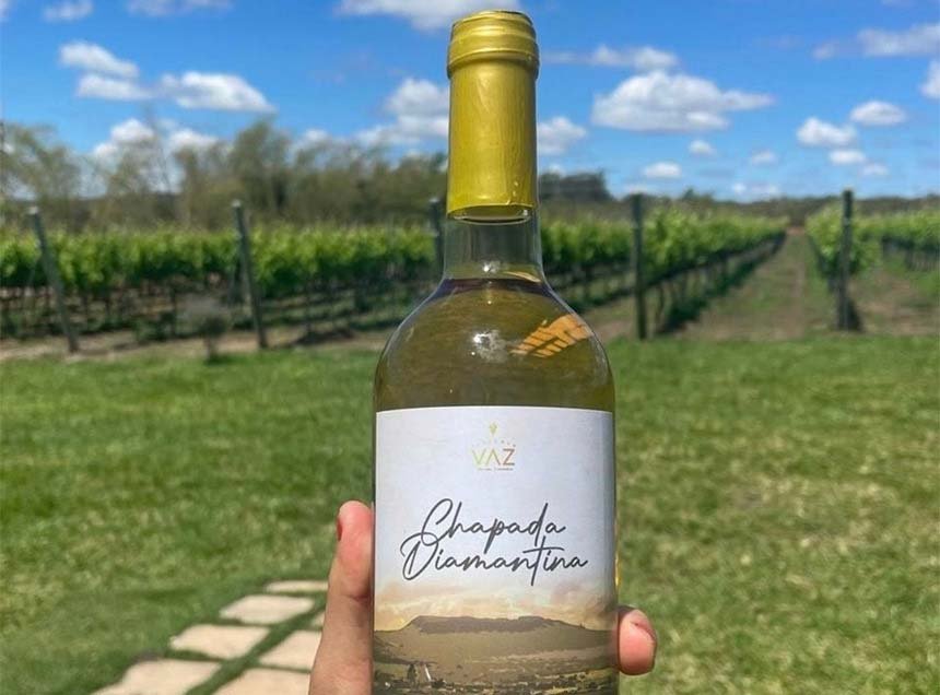 As vinícolas da Chapada Diamantina em uma nova fronteira imobiliária